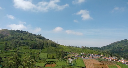 about us