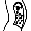 timeline icons